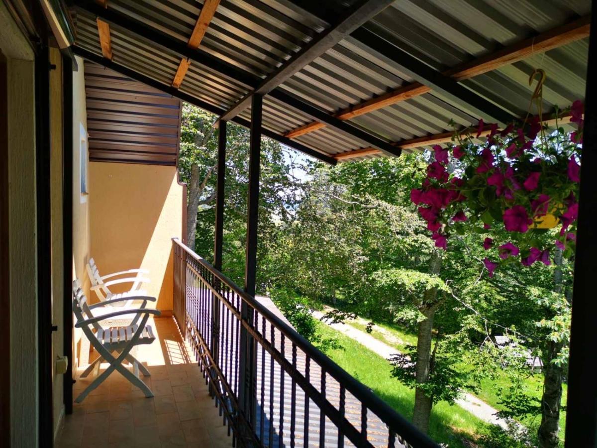 Gorska Vila Apartments Žabljak Exterior foto