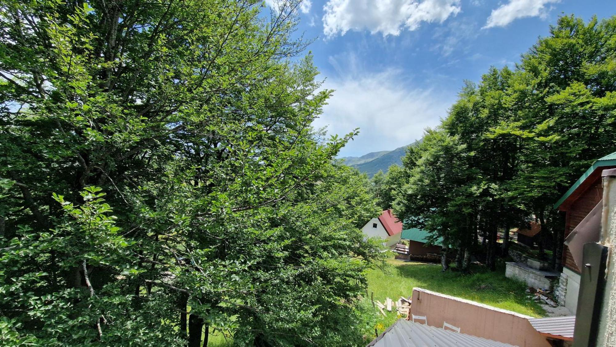 Gorska Vila Apartments Žabljak Quarto foto