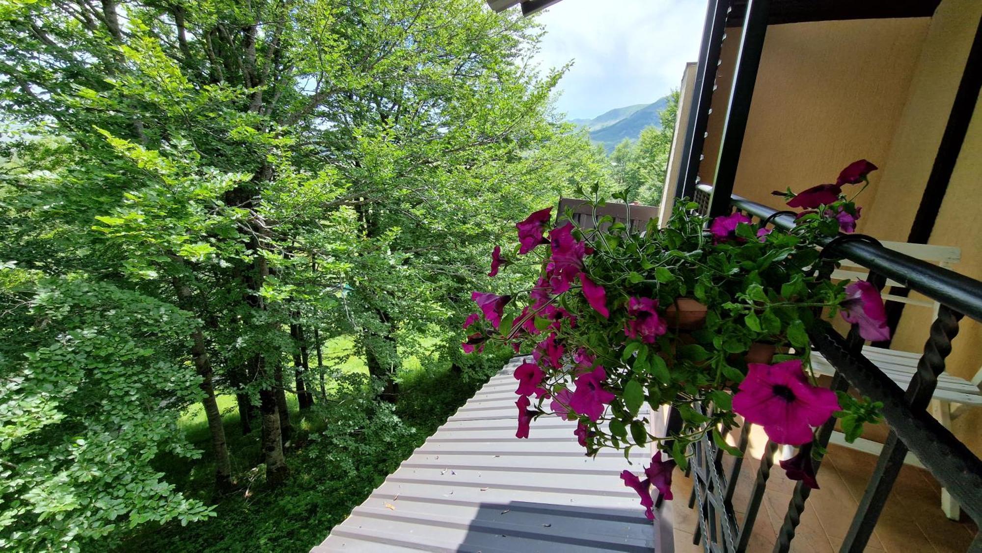 Gorska Vila Apartments Žabljak Quarto foto
